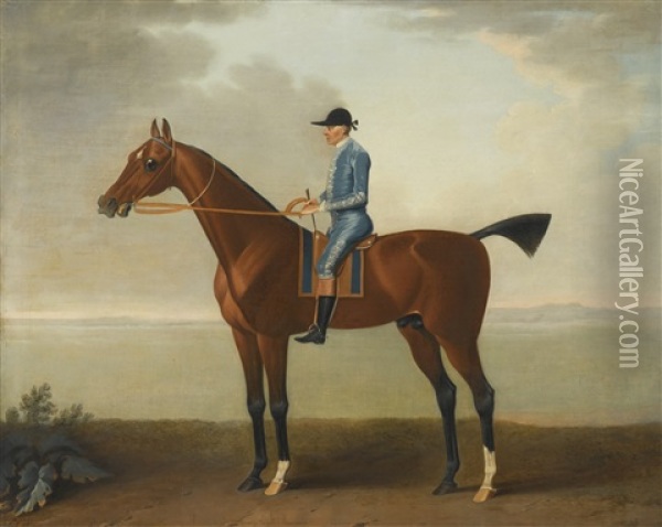 Lady O'brien's Horse With Jockey Up Oil Painting - John Wootton