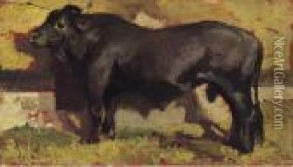 Il Toro Nero Oil Painting - Giovanni Fattori