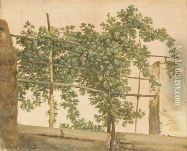 Vue D'une Vigne A Ischia Oil Painting - Simon-Joseph-Alexandre Clement Denis