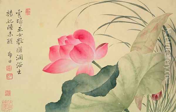 Lotus flower, by Yun Shou-Ping (1633-90), from an Album of Flowers Oil Painting - Shouping Yun