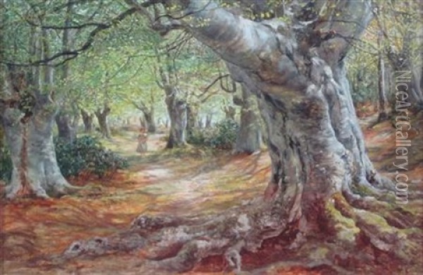 Path Through The Beech Wood Oil Painting - James Docharty
