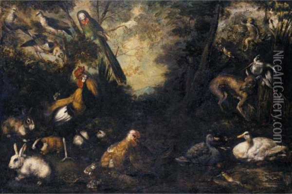 A Woodland Clearing With Ducks, A Fox, Rabbits, A Tortoise, Monkeys, A Parrot, Heron, Jay And Other Birds Oil Painting - Andrea Ii Scacciati