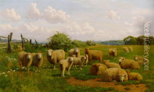 Schafe Auf Der Weide In Sommerlicher Wiesenlandschaft Oil Painting - William Sidney Cooper