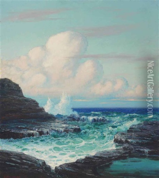 Hawaiian Ocean With Waves Against The Rocks Oil Painting - Lionel Walden