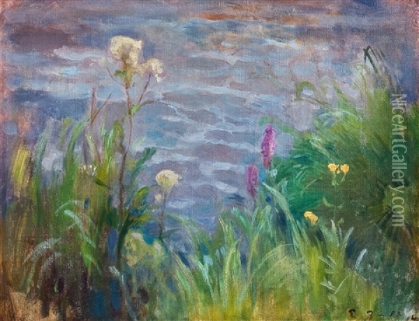 The Shore Of Tuusulanjarvi Oil Painting - Eero Jaernefelt
