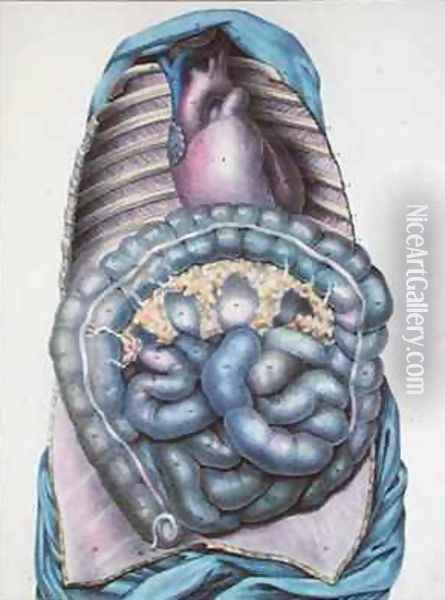Anatomy of the large intestine from Manuel dAnatomie descriptive du Corps Humain Oil Painting - Haincelin