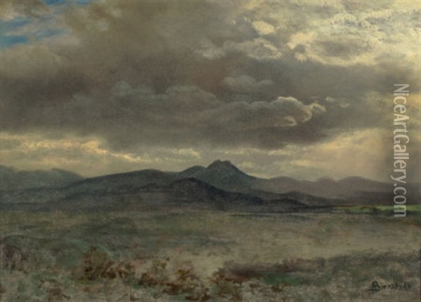 Cloud Study In San Francisco, 1873 Oil Painting - Albert Bierstadt