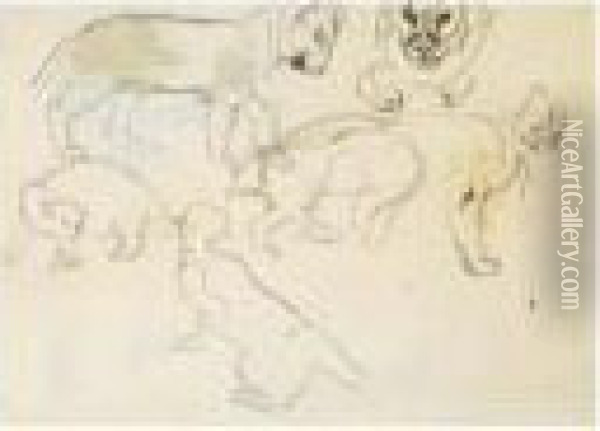 Etudes De Felins Oil Painting - Eugene Delacroix