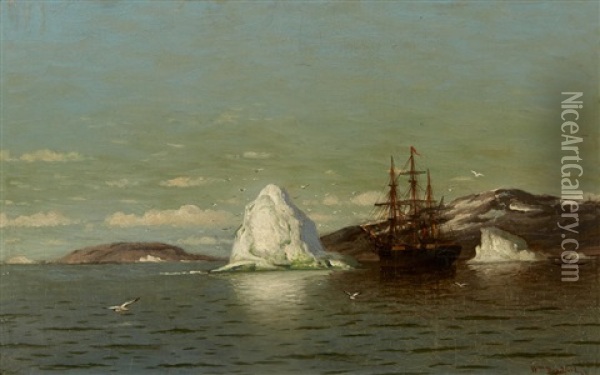 The Ship Panther At Anchor Oil Painting - William Bradford