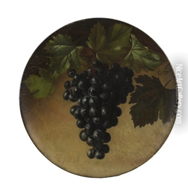 Circular Still Life Of A Cluster Of Grapes Oil Painting - Paul Lacroix