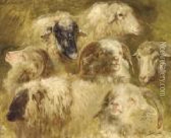 Tetes De Moutons Et Beliers Oil Painting - Rosa Bonheur