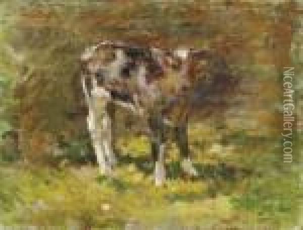 Calf Oil Painting - Theodore Robinson