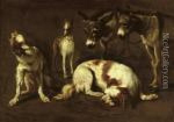 A Study Of Two Spaniels, A Greyhound And Two Donkeys Oil Painting - Pieter Van Laer (BAMBOCCIO)