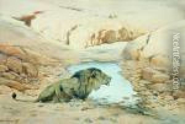 Lion At Waterhole Oil Painting - Wilhelm Kuhnert