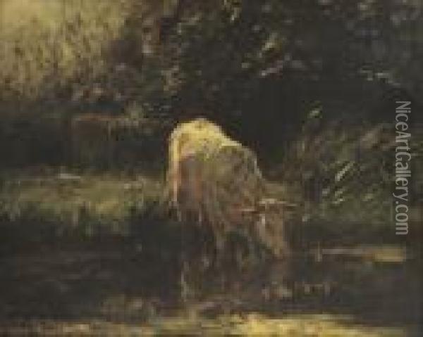 Cows On The Waterfront Oil Painting - Willem Maris