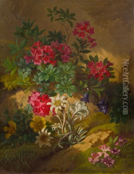 Stillleben Mit Alpenblumen Oil Painting - Josef Schuster