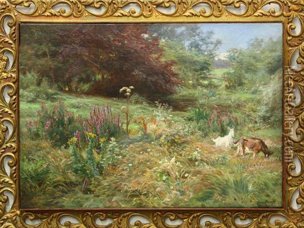 Goats Grazing In A Field Oil Painting - Henri-Arthur Bonnefoy