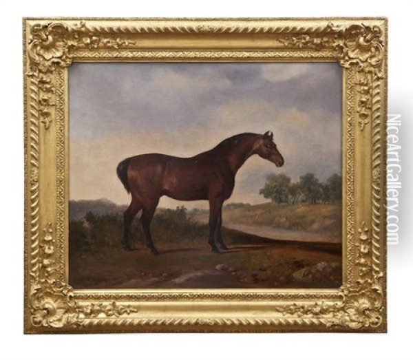Thoroughbred Horses, Standing In A Landscape (pair) Oil Painting - William Brocas