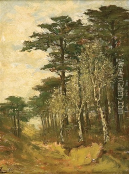 Waldstuck Mit Birken Und Kiefern Oil Painting - Marinus Cornelis Thomas ver Meulen