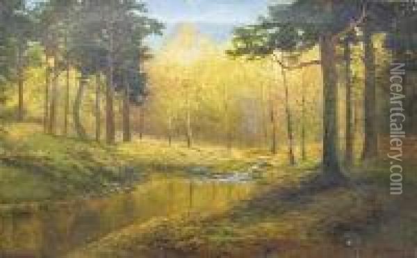 Autumn Woodland Oil Painting - Daniel Sherrin