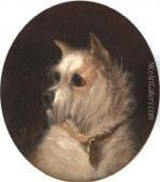 A Terrier Oil Painting - George Armfield