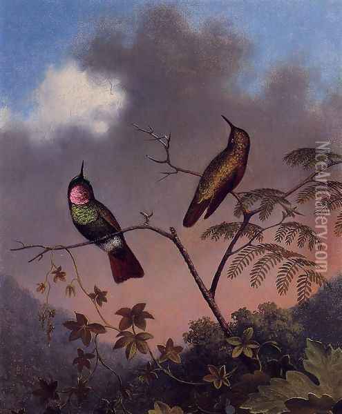 Brazilian Ruby Hummingbirds Oil Painting - Martin Johnson Heade