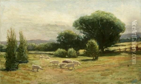 Sheep In A Summer Landscape Oil Painting - Ammi Merchant Farnham