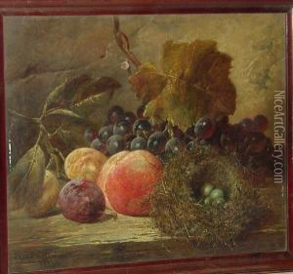 Black Grapes, Plums, A Peach And A Bird's Nest On A Wooden Ledge Oil Painting - James Charles Ward
