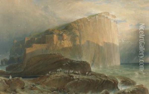 The Bass Rock, East Lothian Oil Painting - William Leighton Leitch