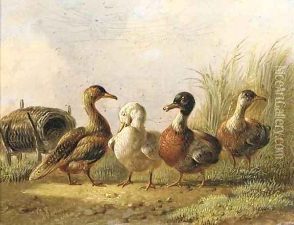 Ducks Oil Painting - Albertus Verhoesen