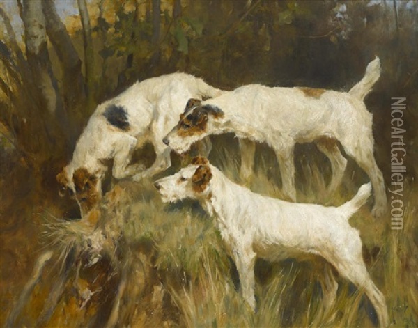 Three Wire Fox Terriers Working A Hole Oil Painting - Arthur Wardle
