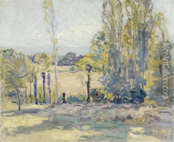 Paysage Impressionniste Oil Painting - Armand Adrien Marie Apol