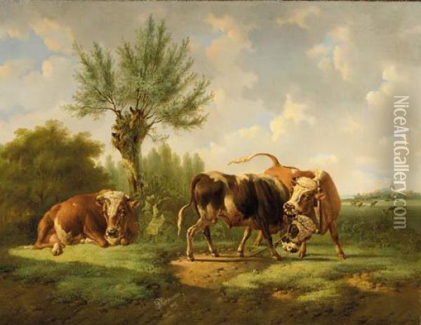 Bulls Fighting Oil Painting - Albertus Verhoesen