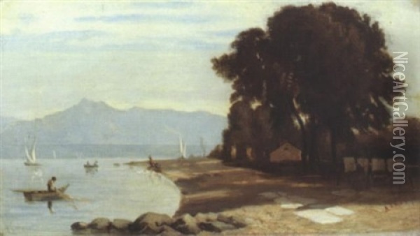 Ufer Am Lac Leman Oil Painting - Albert De Meuron