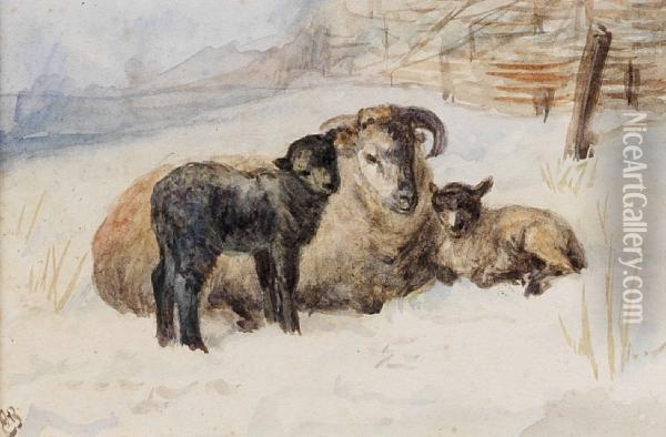 A Watercolour With Sheep And Lambs Oil Painting - Hannah Barlow