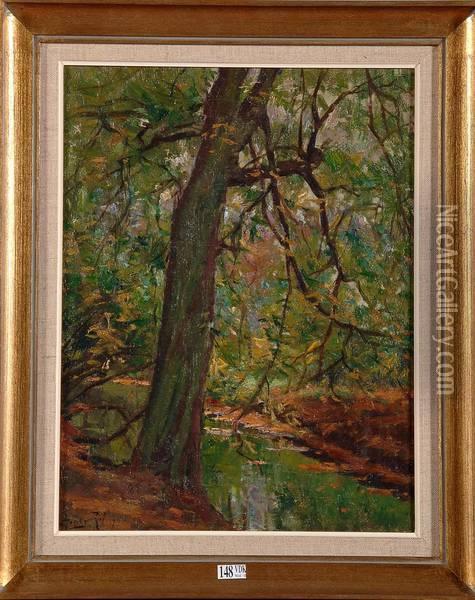 Ruisseau En Foret Oil Painting - Henry Rul