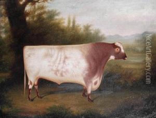 An Ayrshire Bull In A Landscape Oil Painting - Henry Strafford