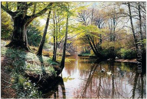 Flodlandskab (a River Landscape In Springtime) Oil Painting - Peder Mork Monsted