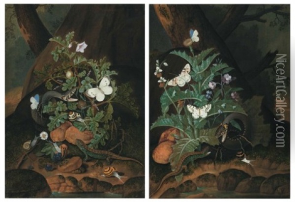 Two Forest Floors With A Snake, Lizard, Butterflies And Snails Amongst Weeds On A Riverbank Oil Painting - Johann Falch