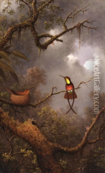 Crimson Topaz Hummingbirds Nesting In A Tropical Forest Oil Painting - Martin Johnson Heade