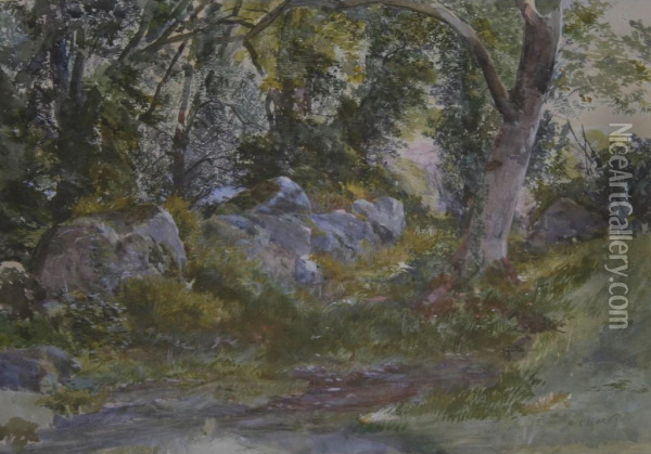 A Woodland Clearing Oil Painting - Alfred Oliver