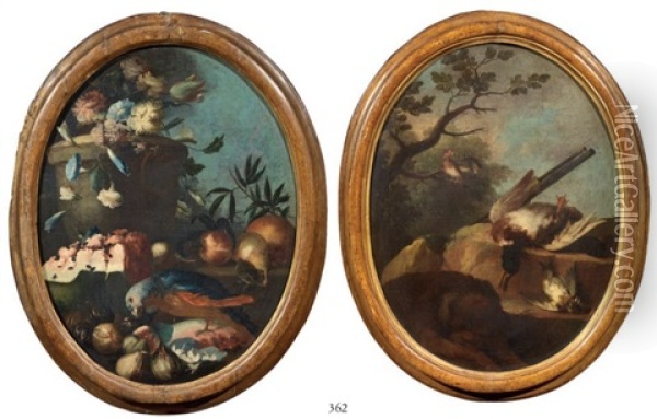 Natura Morta Con Pappagallo E Frutta (+ Natura Morta Con Uccelli; 2 Works) Oil Painting - Giorgio Duranti
