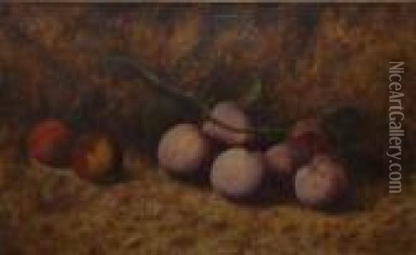 Still Life Study Of Plums On A Mossy Bank Oil Painting - Vincent Clare