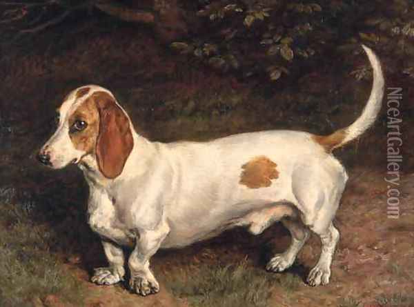 A Favourite Dachshund Oil Painting - Frank Paton