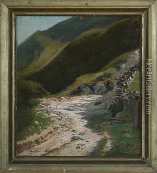 From The Pyrenees A Sunny Day Oil Painting - Simon Simonsen