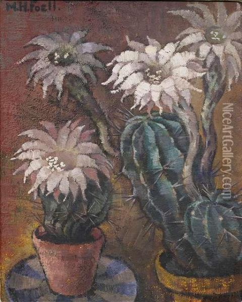 Cacti Oil Painting - Maria Hiller Foll