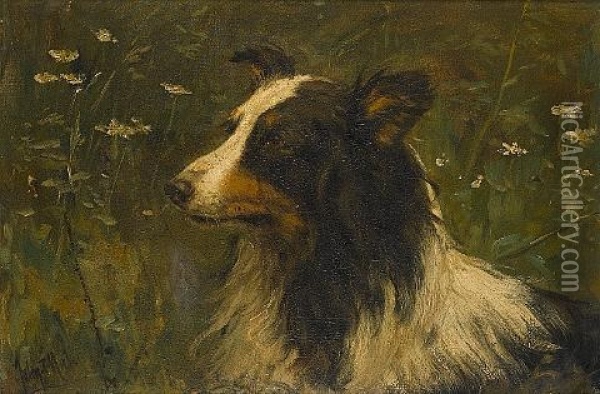 Portrait Of A Rough Collie Oil Painting - John Frederik Hulk the Younger