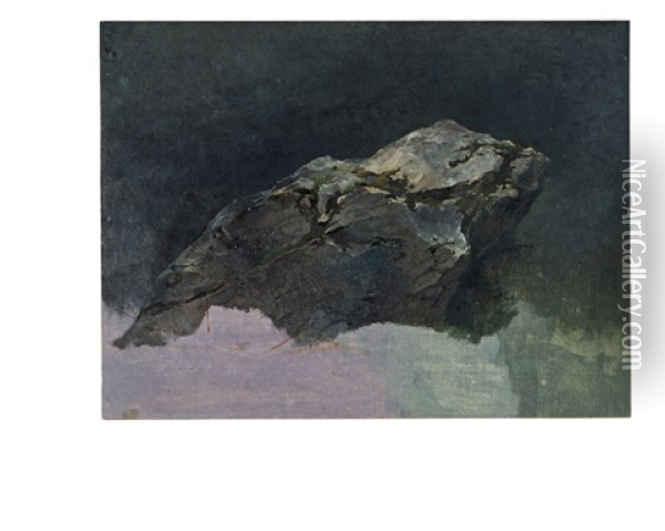 Study Of A Rock Oil Painting - Friedrich Gauermann
