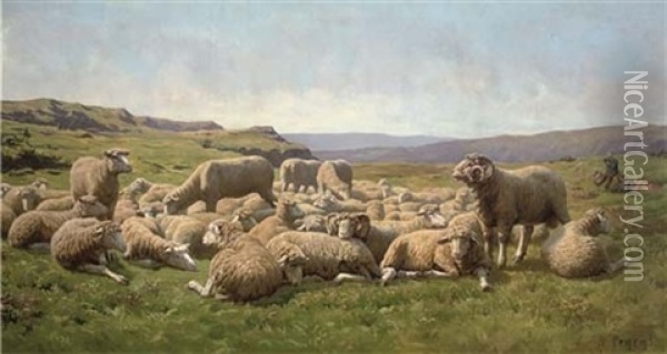 Sheep In A Meadow Oil Painting - Rene Peyrol