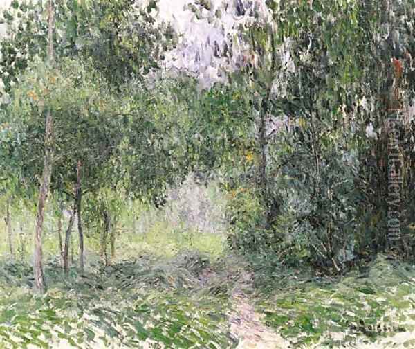 Sous bois Oil Painting - Gustave Loiseau
